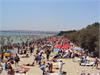 DSC05691[1]